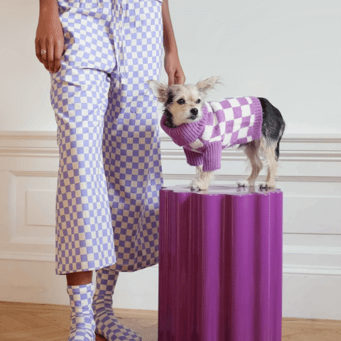 product_pet_clothes_10a
